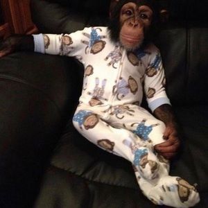 monke in jammas